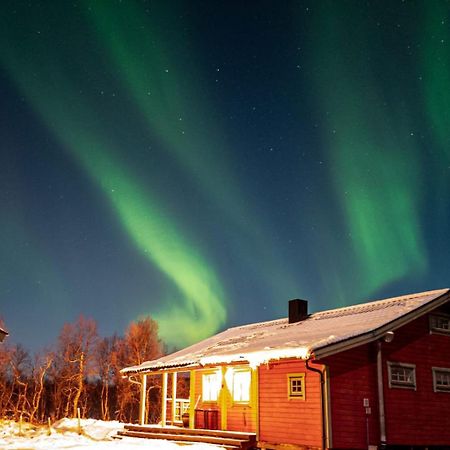 Trivelig Hytte I Senja. Ngoại thất bức ảnh