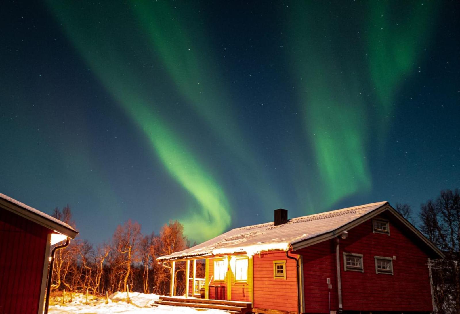 Trivelig Hytte I Senja. Ngoại thất bức ảnh