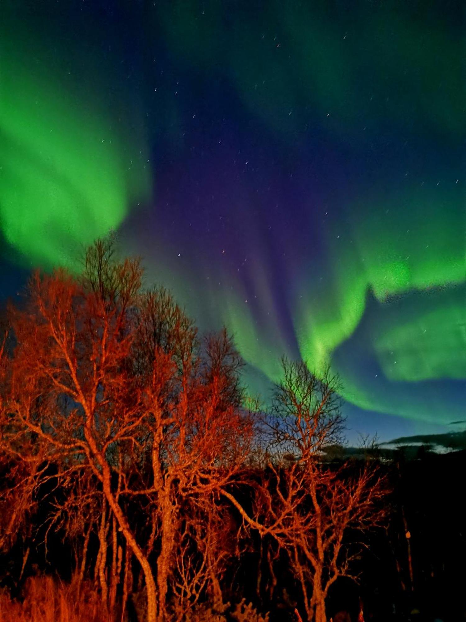 Trivelig Hytte I Senja. Ngoại thất bức ảnh